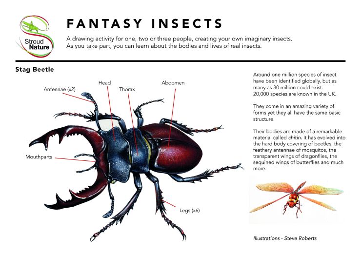 SN Fantasy insects_Page_1