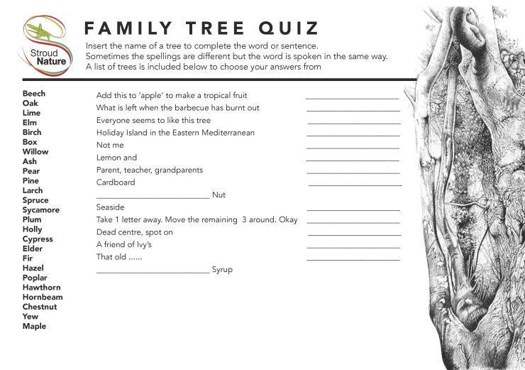 SN Tree Quiz